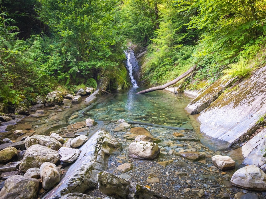 Waterfall at Tan y Coed, Dyfi Forest