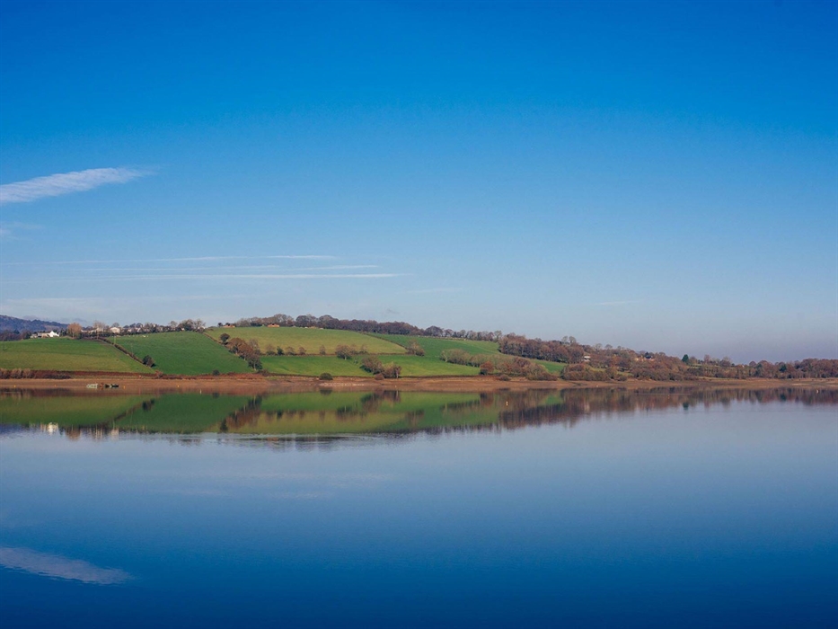 Scenery at Llandegfedd Lake