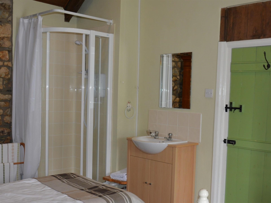 showing electric shower and handbasin