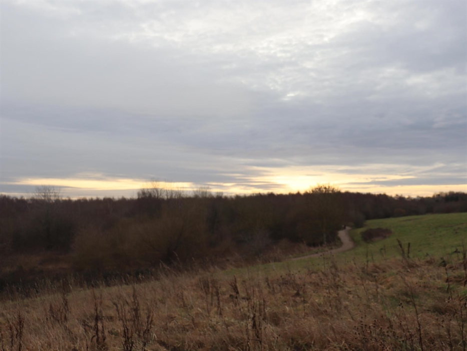 Alyn Water Country Park