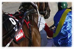 Tir Prince Leisure Park