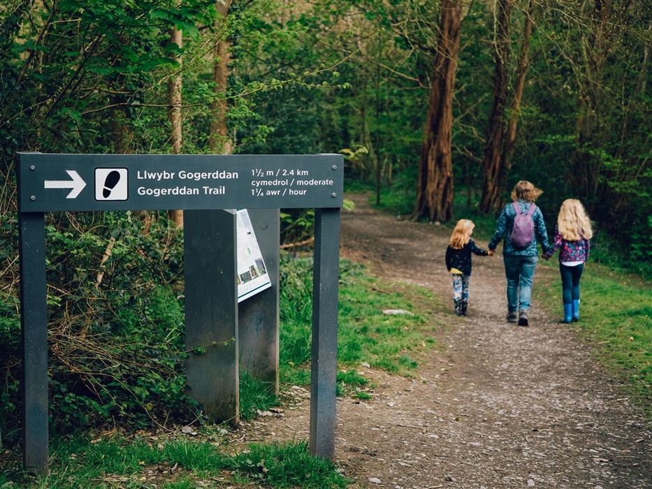 Waymarked walking trail, Gogerddan Wood