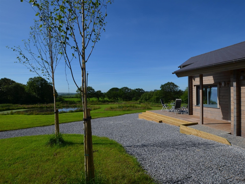 Overlooking the pond