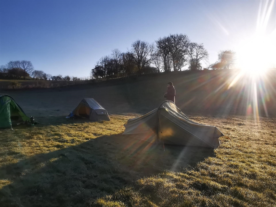 Three tents in a field with morning sunlight