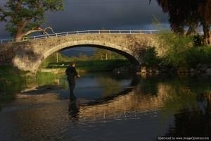 Denbigh and Clwyd Angling