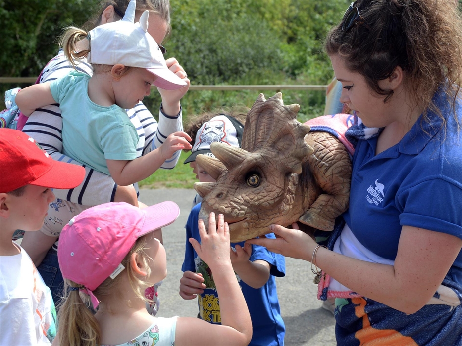 Suzie, the Dinosaur Park's resident pet triceratops, being held by a member of staff, being stroked and petted by young children.