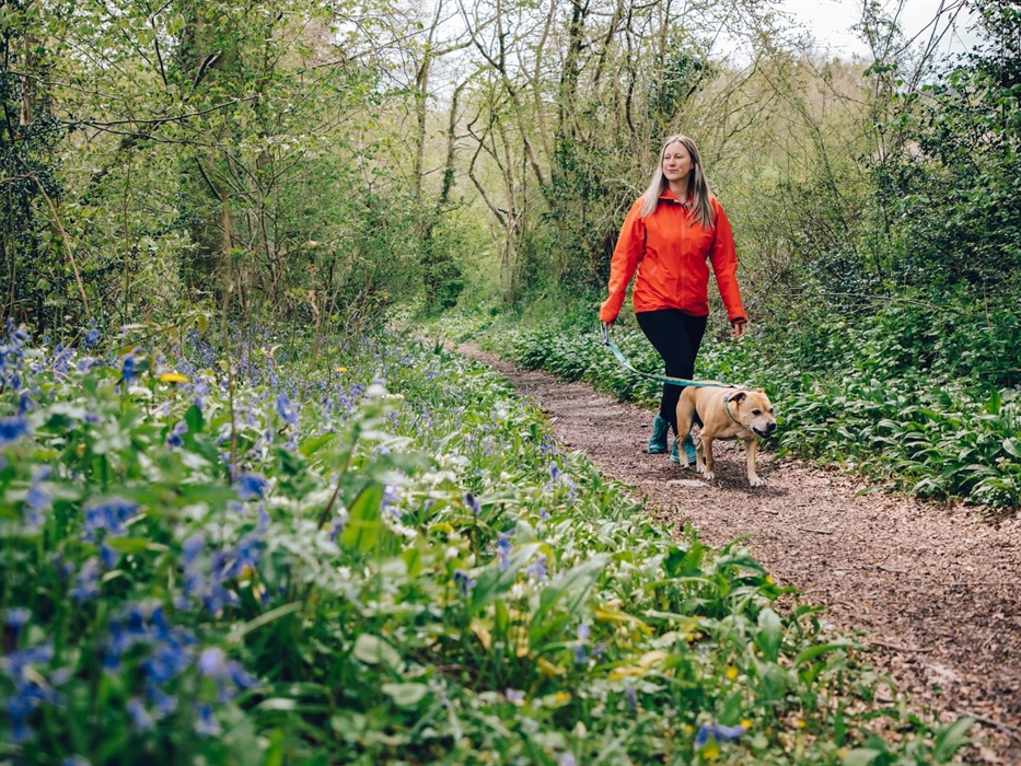 Walking at Coed y Fron Wyllt, Clocaenog Forest