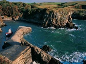 stackpole nature reserve