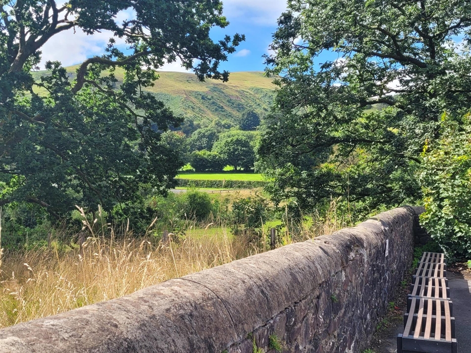 View from the Centre