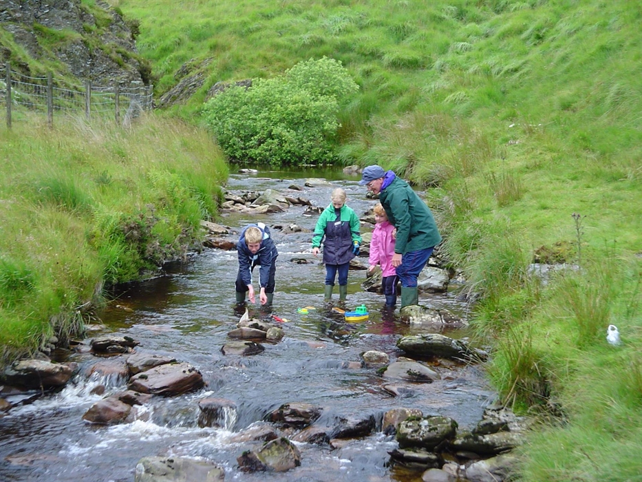 Playing in the stream