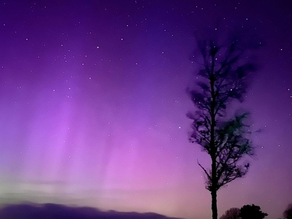 Here in Mid Wales we are sometimes delighted by the Aurora.  We are situated in a Dark Skies area and on a clear night you will not be disappointed by