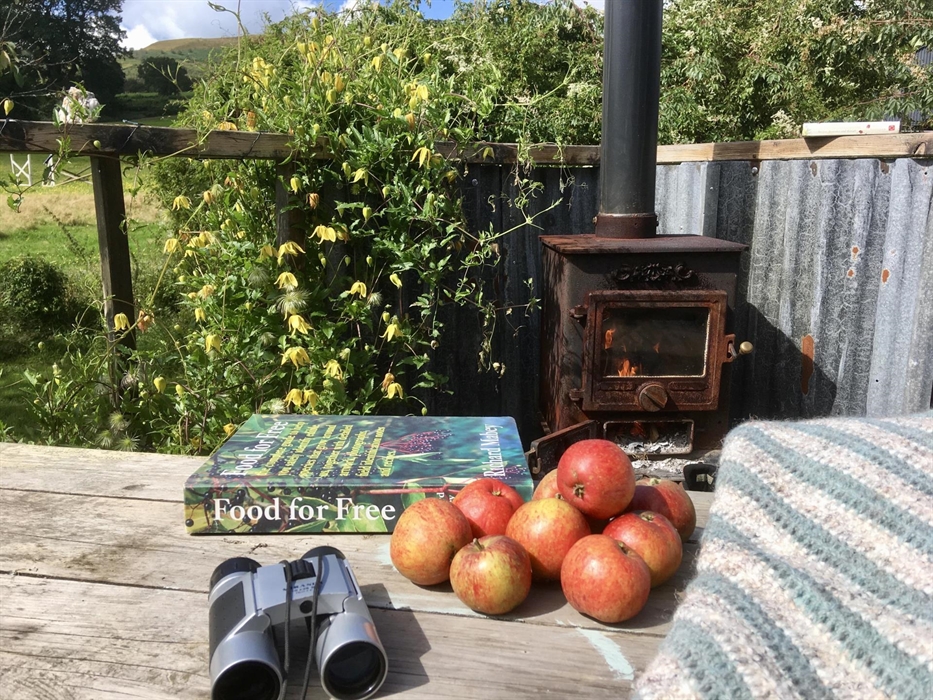 Wood burning stove on the balcony