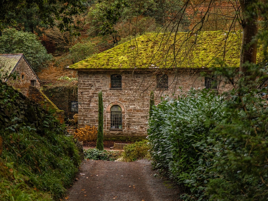 A shingle path leads down towards the Old Mill at Bodnant Garden, with its moss-covered roof and stone walls, taken in January. In the foreground, Ita