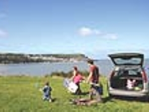 Our Very own Charlie's Field