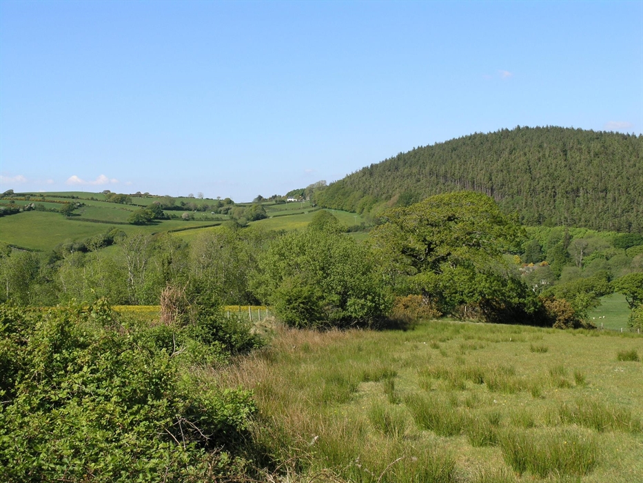 Picnic in our glorious meadow