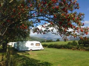 Maes Carafanau Waenfach