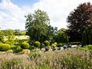 Lower garden terrace