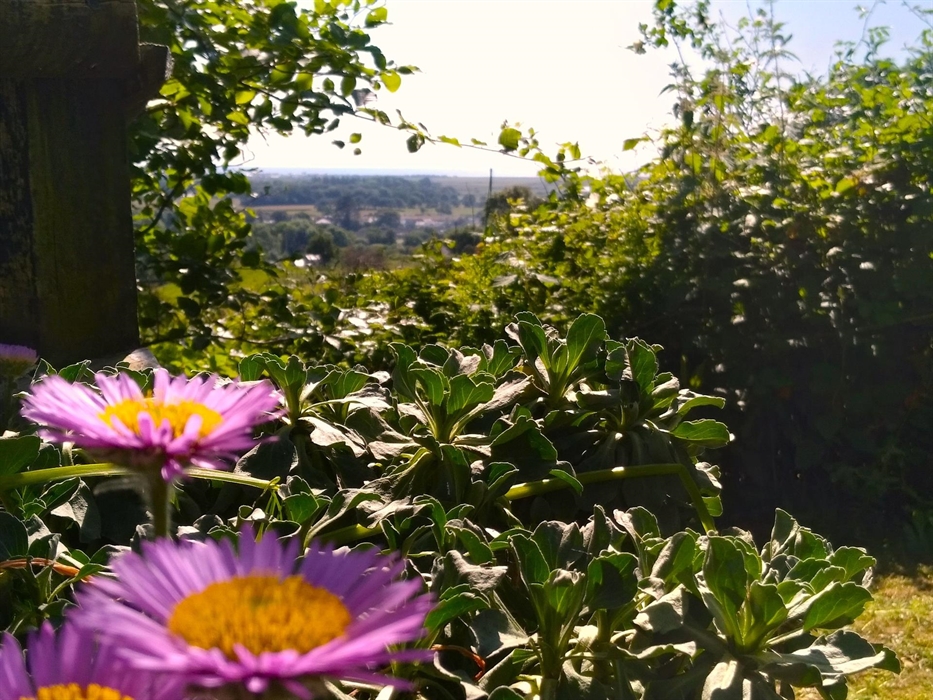 Looking from the garden down the Dysynni Valley to the sea.