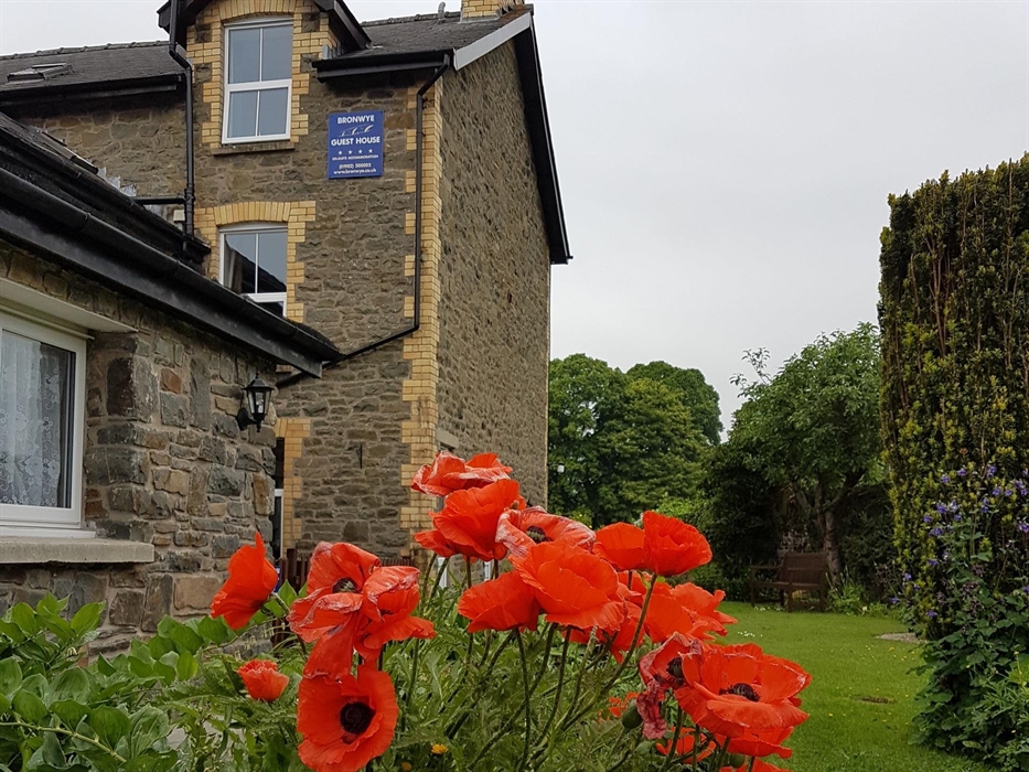 Bronwye Guest House