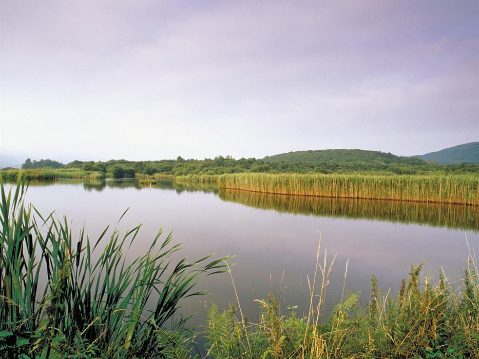 Image Credit: Andy Hay