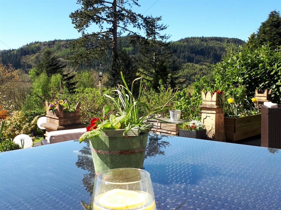 Front garden and Patio