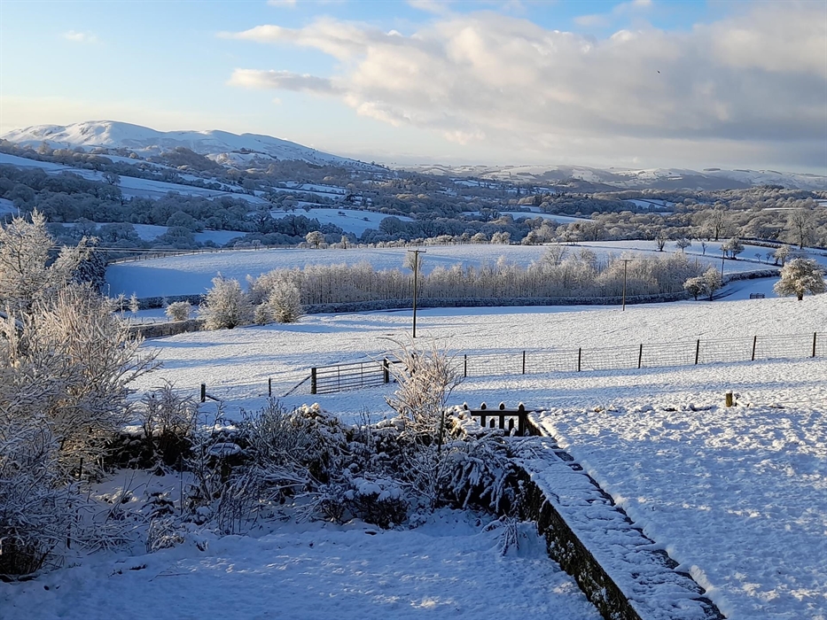 Views from the Granary Cottage