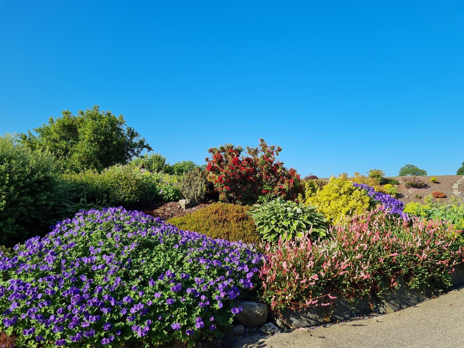 Llanoddian Isaf Holiday Cottages