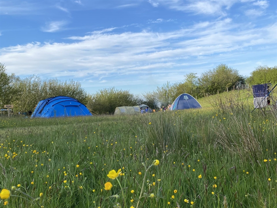Belan Bluebell Woods