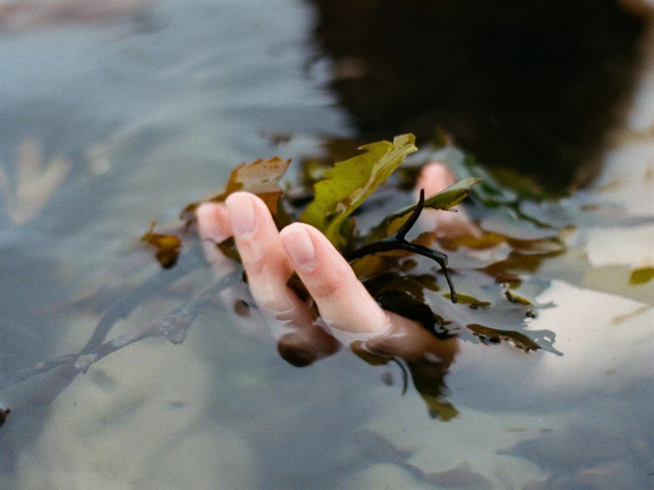 An outdoor bathing experience. Wild seaweed baths by Halen Môn, the first in Wales. Soak in the restorative power of seaweed.