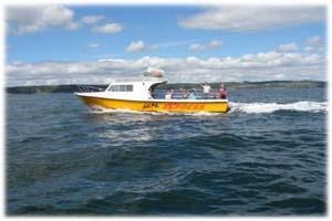 Saundersfoot Pleasure Boats