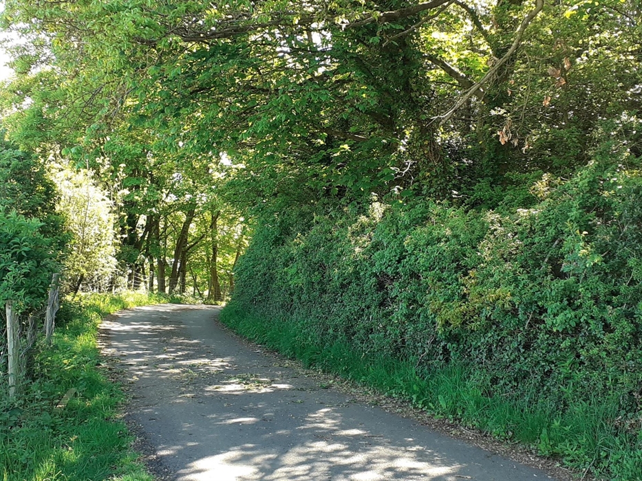 Driveway up to Henblas Holiday Cottage