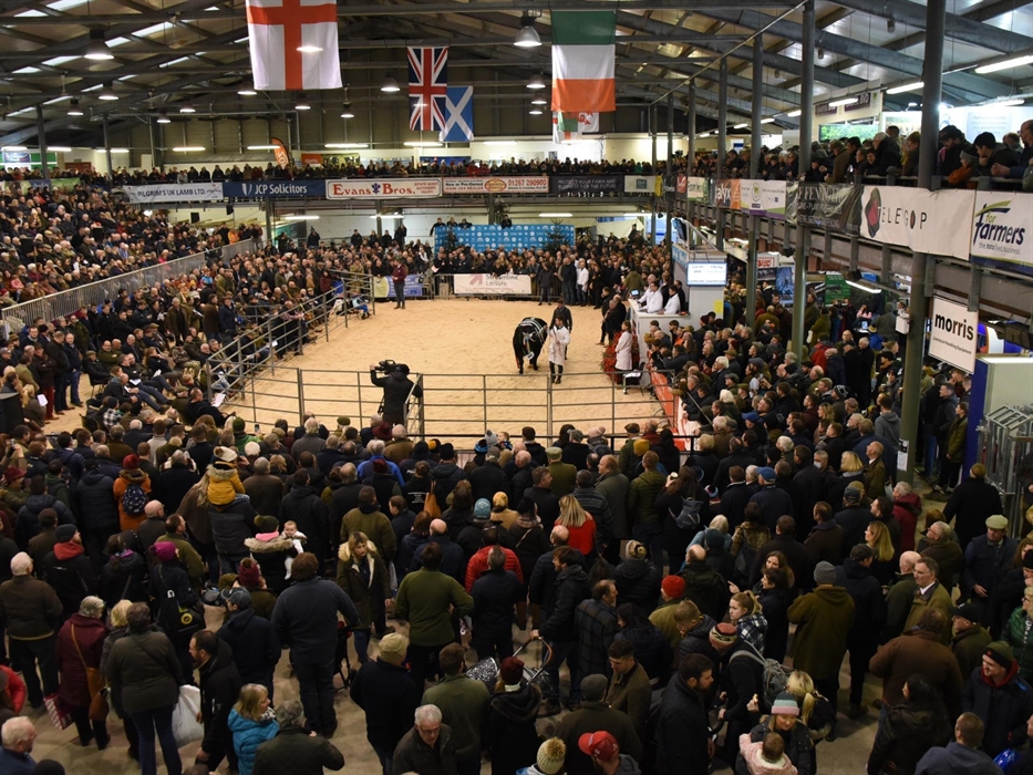 Royal Welsh Winter Fair