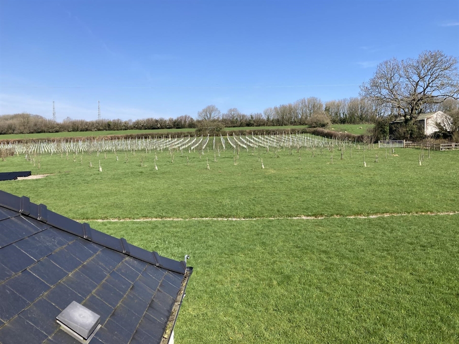 Visitors are welcome to walk around the vineyard, orchard and wildflower meadow.