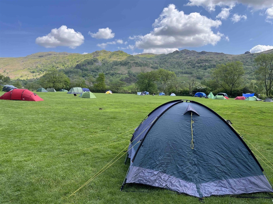 Grass tent pitches