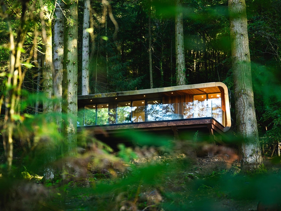 Zip World Forest Lodge