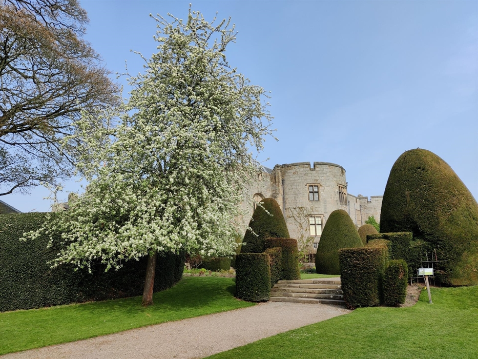 Chirk Castle from the gardens showing a tree covered in blossom in the foreground