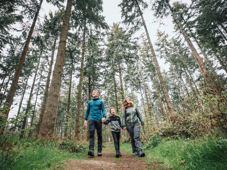 Walking at Pool Park, Clocaenog Forest
