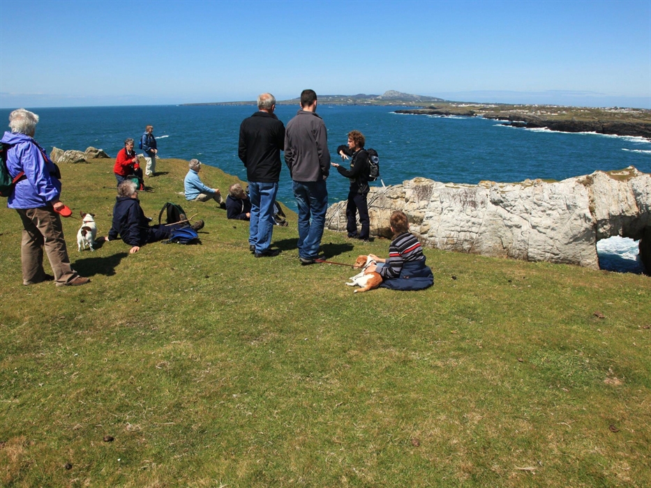 Group on cliff top on guided walk, Rhoscolyn