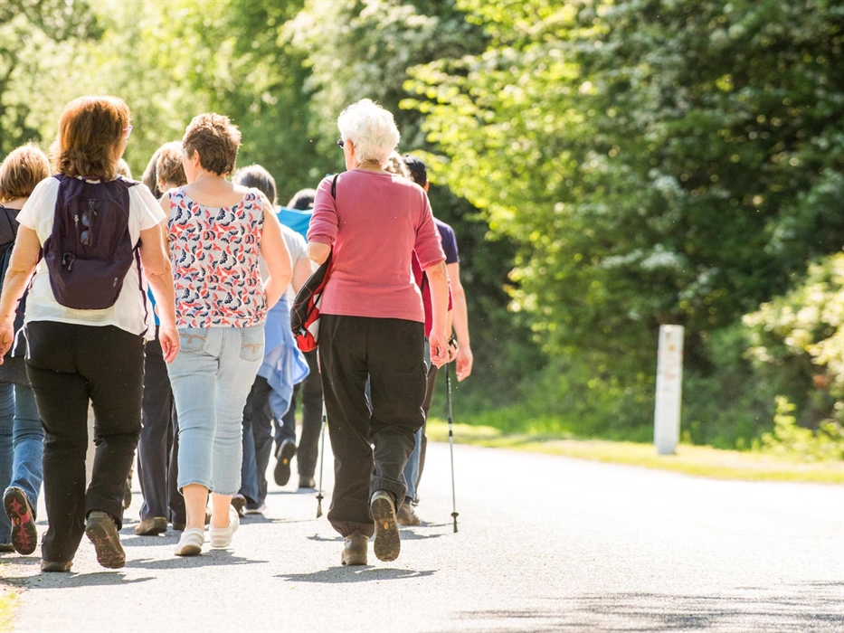 Walking at Dare Valley Country Park