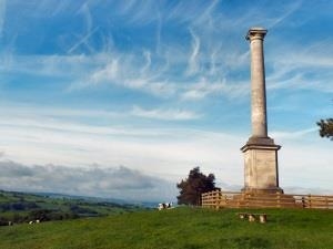 Image Credit: David Wilson