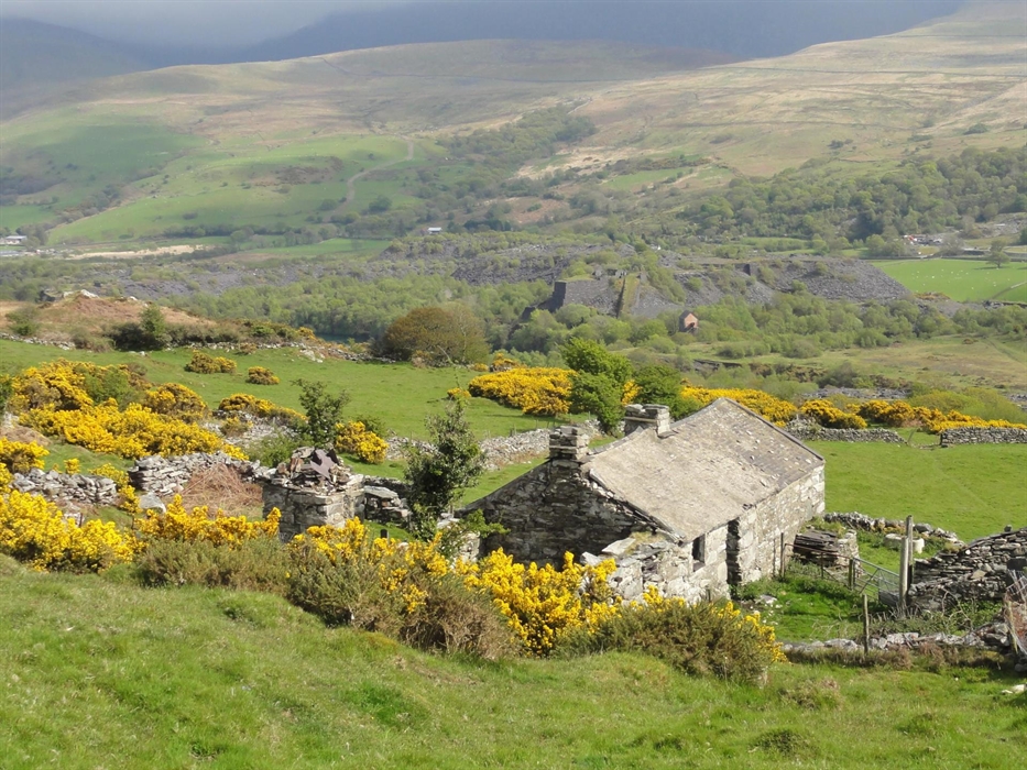 Bwthyn bach - cottage in the gorse
