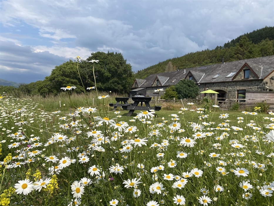 Snowdonia holiday cottage