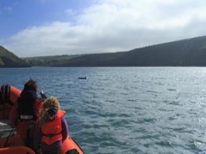 Children Pointing a Dolphins