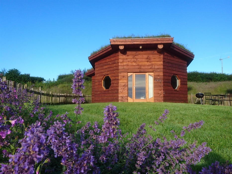 Aerona Lodge nestles into the meadow with its turf roof and timber frame, blending beautifully with the Welsh countryside. Warm light spills from its