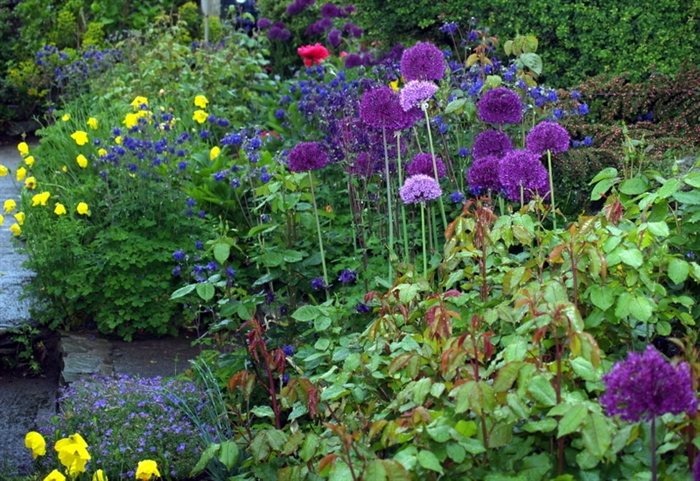 Explore our beautiful gardens