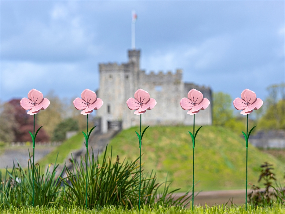 Metal pink poppies at Cardiff Castle