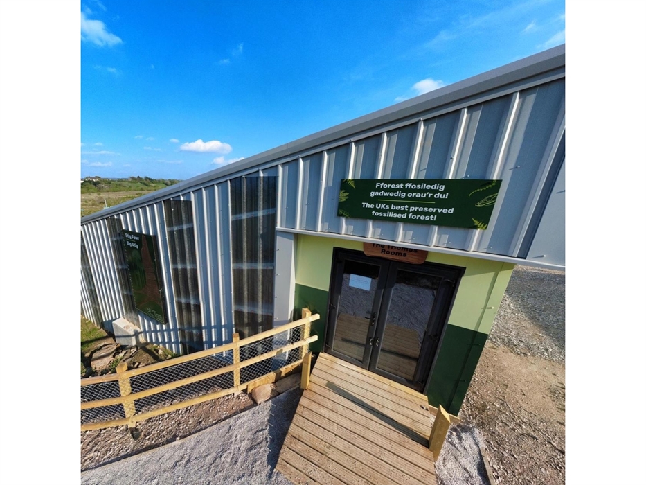 The entrance to the top of a covered steel structure that protects the fossil forest.