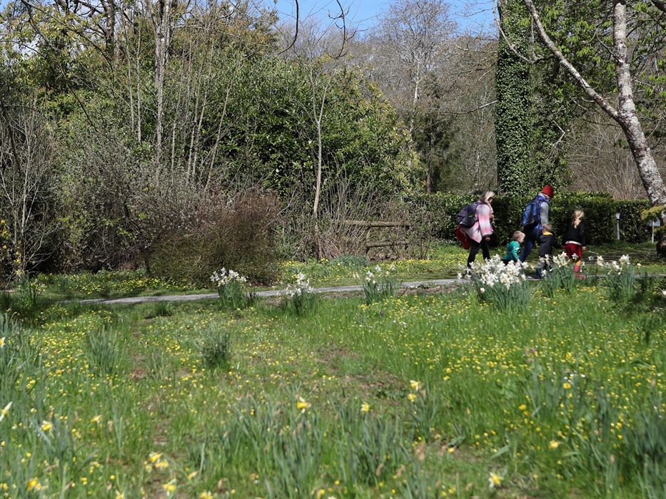 Picton Castle & Gardens