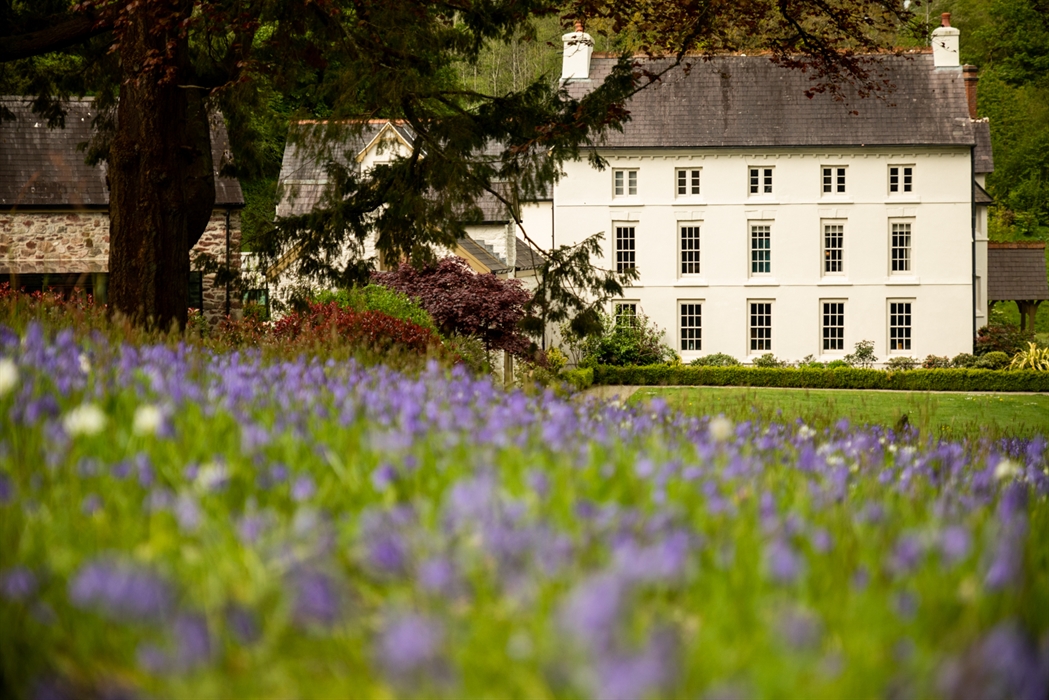 Hotel exterior with bluebells