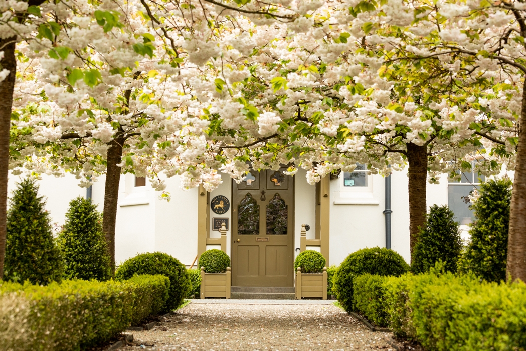 Hotel entrance pathway with trees